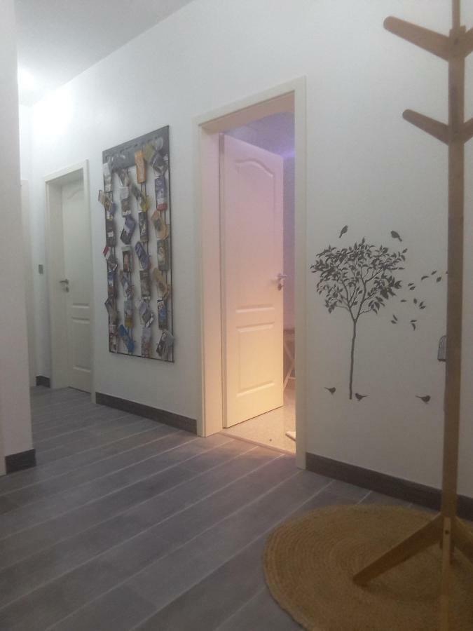 Chez Moera -Sur La Route Des Vins - Kaysersberg Lägenhet Exteriör bild